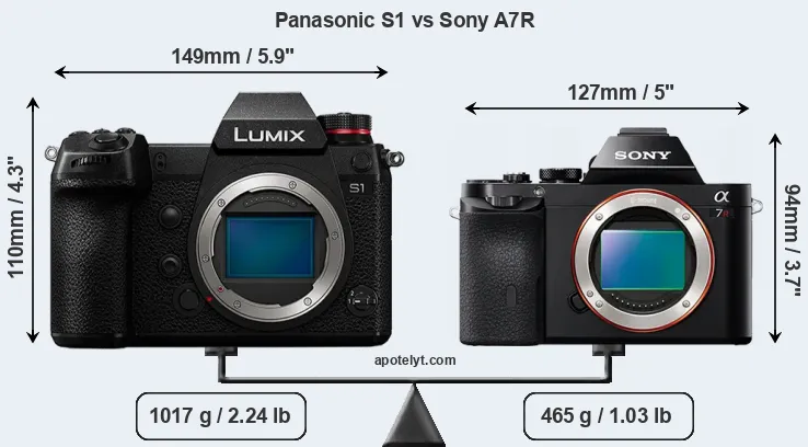 Size Panasonic S1 vs Sony A7R