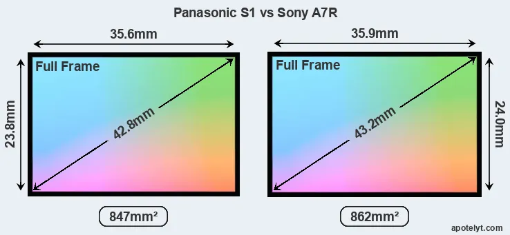 Panasonic S1 and Sony A7R sensor measures
