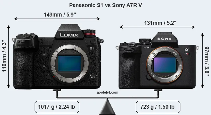 Size Panasonic S1 vs Sony A7R V