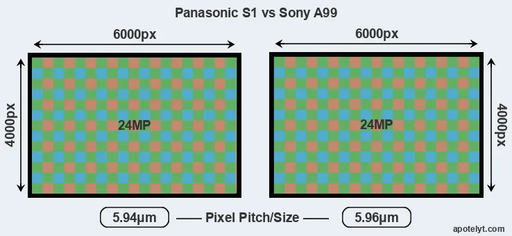 S1 versus A99 MP