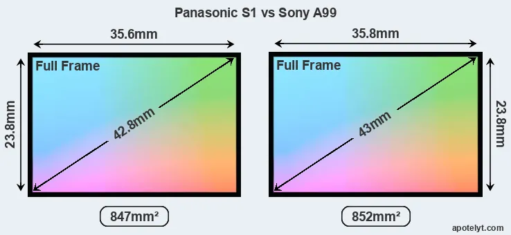 Panasonic S1 and Sony A99 sensor measures