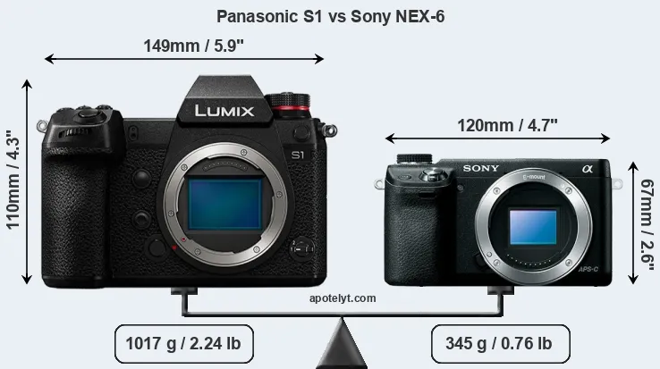Size Panasonic S1 vs Sony NEX-6