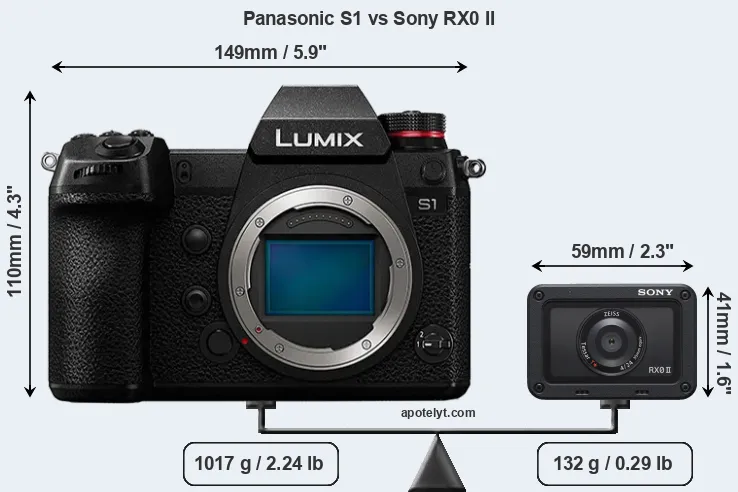 Size Panasonic S1 vs Sony RX0 II