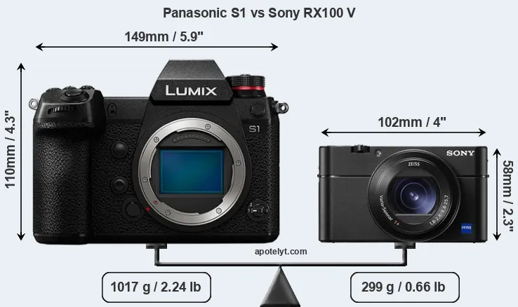 Size Panasonic S1 vs Sony RX100 V