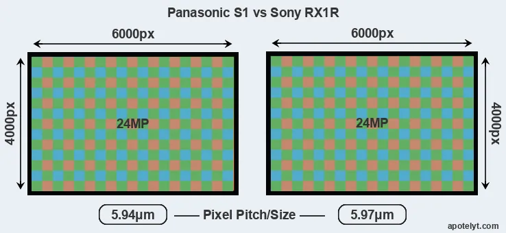 S1 versus RX1R MP