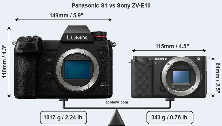 Size Panasonic S1 vs Sony ZV-E10