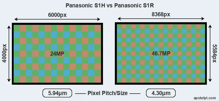 S1H versus S1R MP
