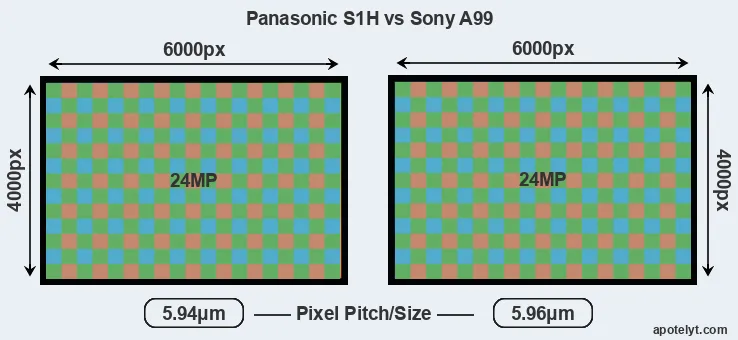 S1H versus A99 MP
