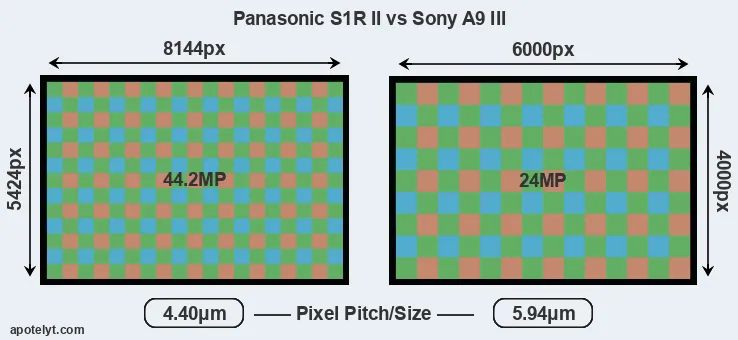 S1R II versus A9 III MP