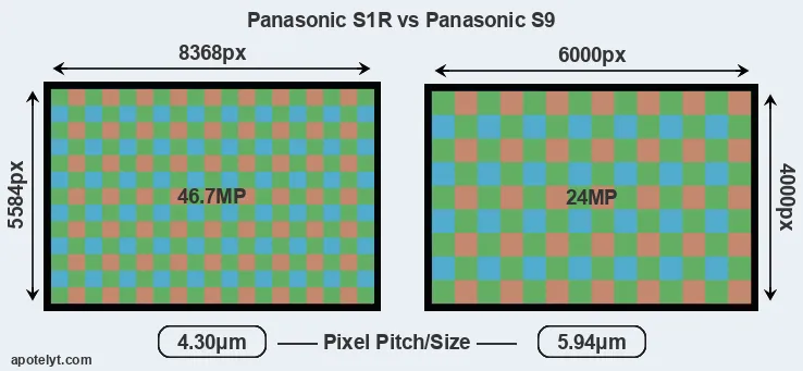 S1R versus S9 MP