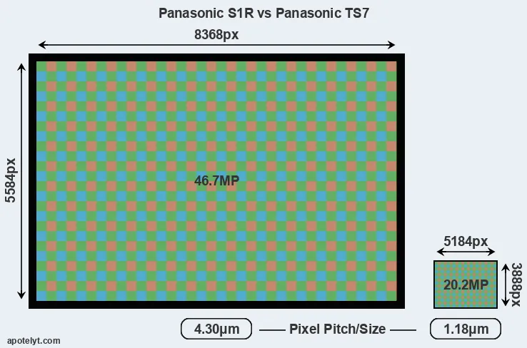 S1R versus TS7 MP