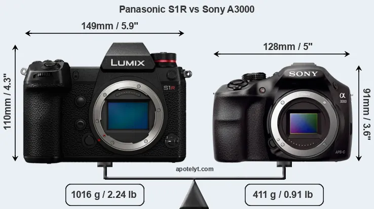 Size Panasonic S1R vs Sony A3000