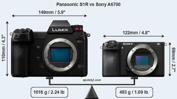 Size Panasonic S1R vs Sony A6700