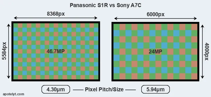 S1R versus A7C MP