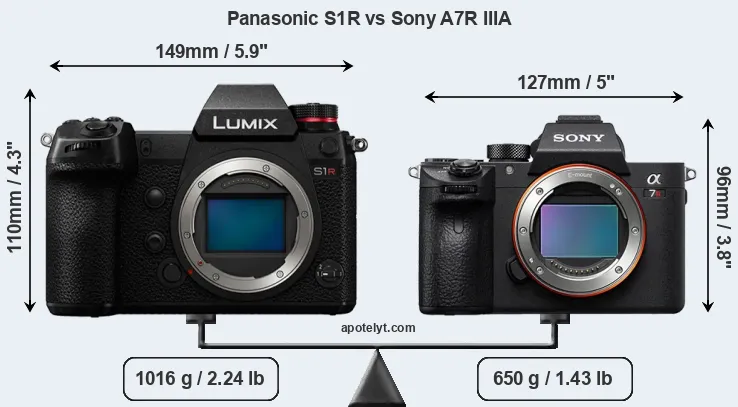 Size Panasonic S1R vs Sony A7R IIIA