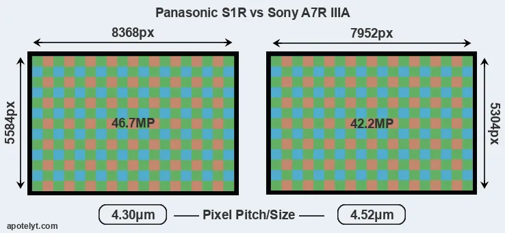 S1R versus A7R IIIA MP