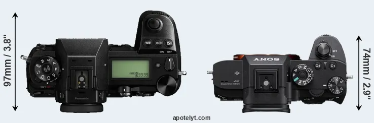 Compare S1R versus A7R IIIA top
