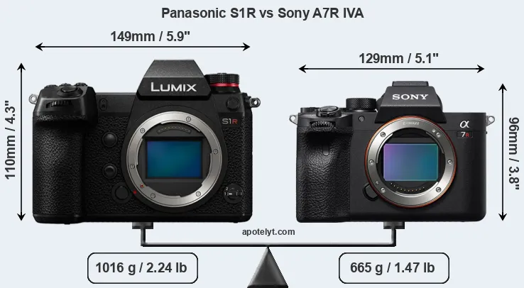 Size Panasonic S1R vs Sony A7R IVA