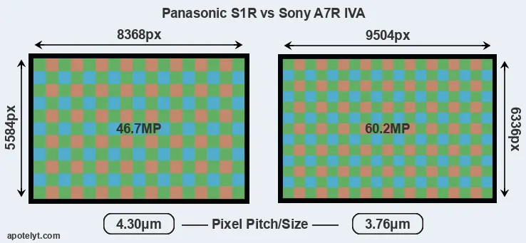 S1R versus A7R IVA MP