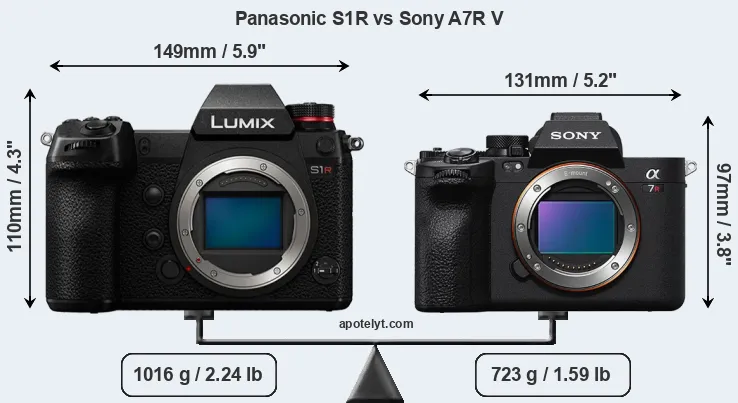 Size Panasonic S1R vs Sony A7R V
