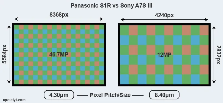 S1R versus A7S III MP