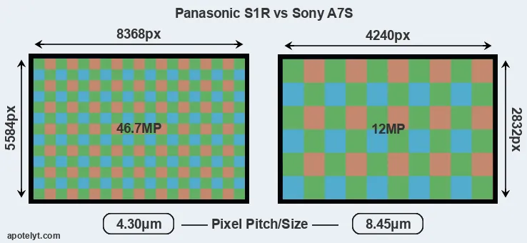 S1R versus A7S MP