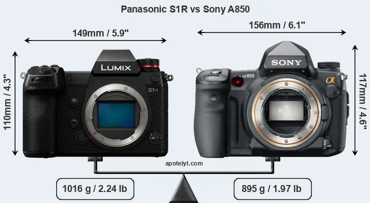 Size Panasonic S1R vs Sony A850