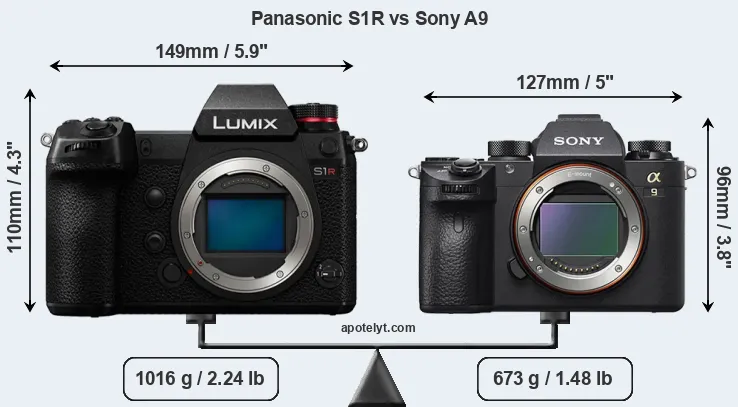 Size Panasonic S1R vs Sony A9