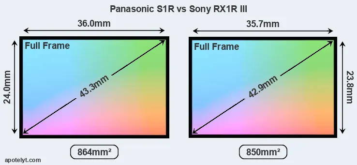Panasonic S1R and Sony RX1R III sensor measures