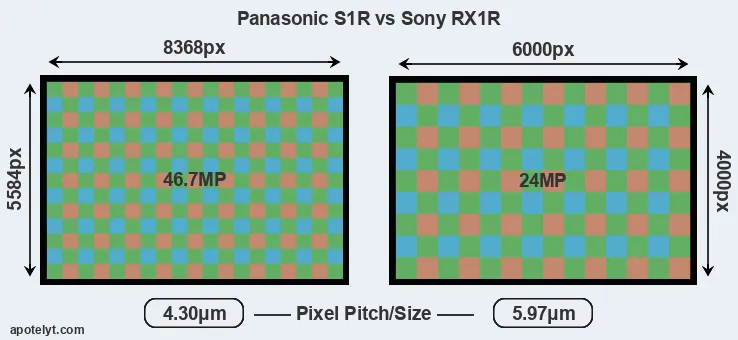 S1R versus RX1R MP