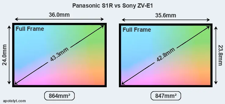 Panasonic S1R and Sony ZV-E1 sensor measures