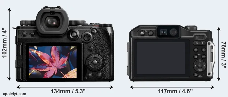 Comparison S5 II or TS7 rear