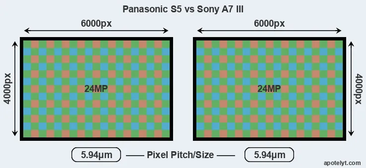 S5 versus A7 III MP