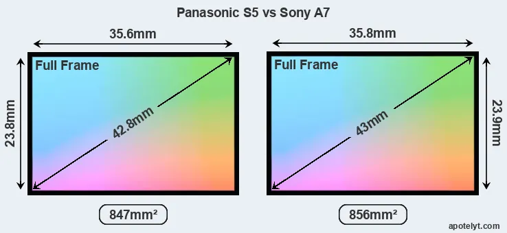 Panasonic S5 and Sony A7 sensor measures
