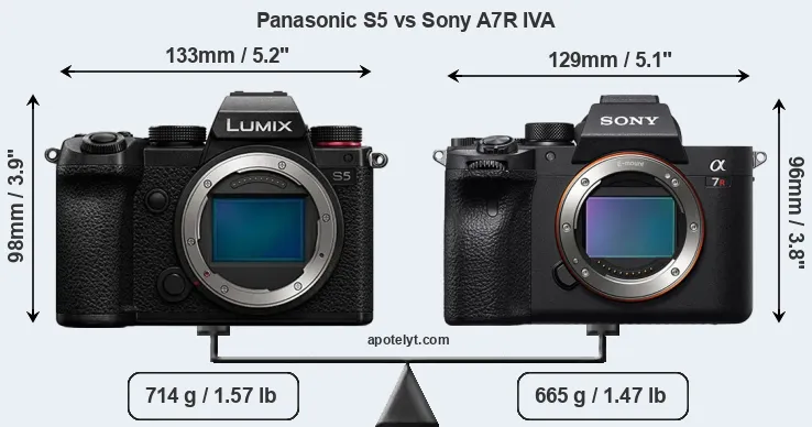 Size Panasonic S5 vs Sony A7R IVA