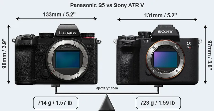 Size Panasonic S5 vs Sony A7R V