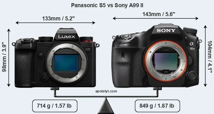 Size Panasonic S5 vs Sony A99 II