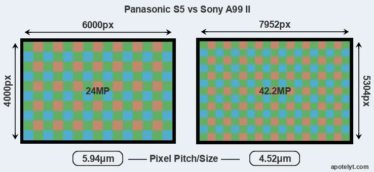 S5 versus A99 II MP