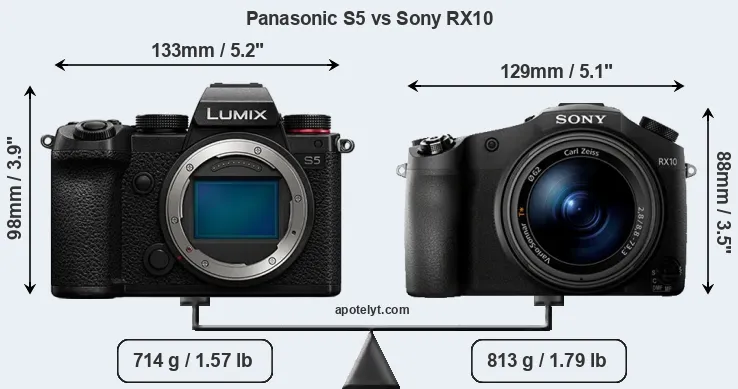 Size Panasonic S5 vs Sony RX10