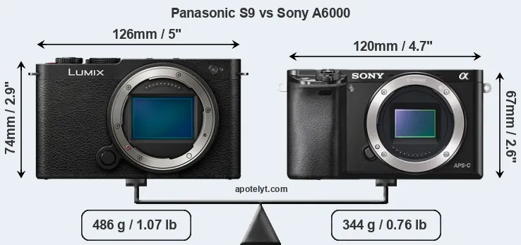 Size Panasonic S9 vs Sony A6000