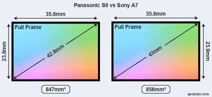 Panasonic S9 and Sony A7 sensor measures