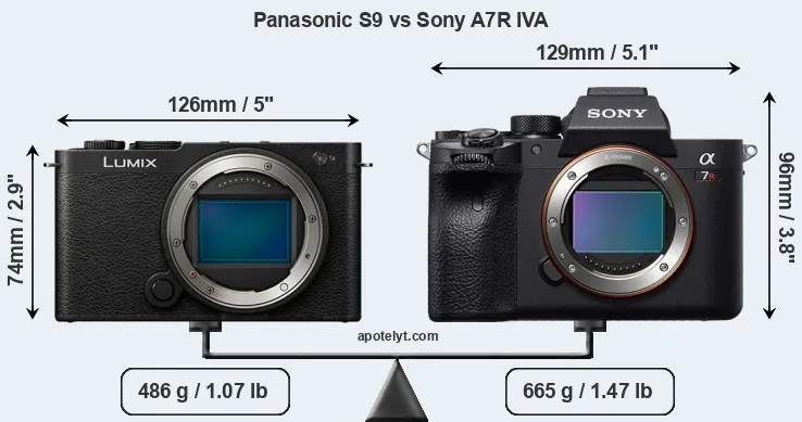 Size Panasonic S9 vs Sony A7R IVA
