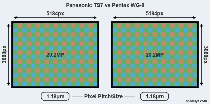 TS7 versus WG-8 MP
