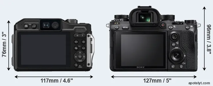 Comparison TS7 or A9 rear