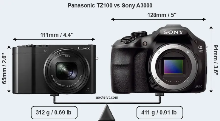 Size Panasonic TZ100 vs Sony A3000
