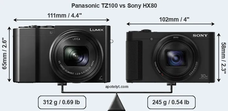 Size Panasonic TZ100 vs Sony HX80