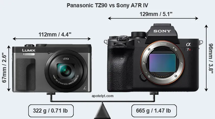 Size Panasonic TZ90 vs Sony A7R IV