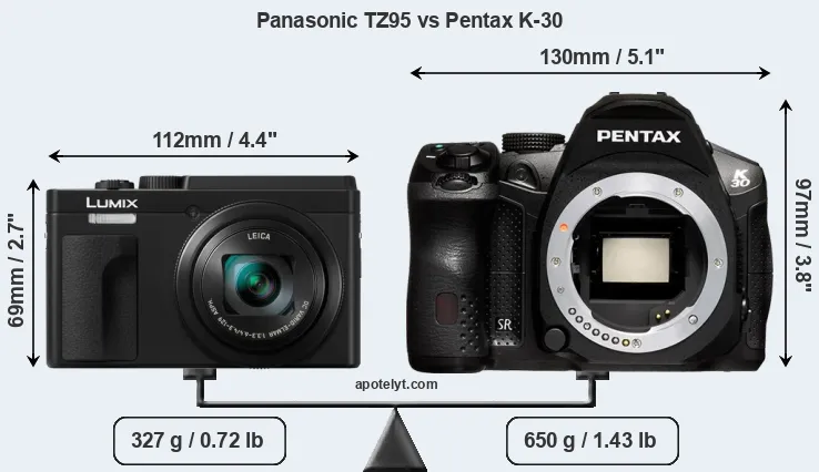 Size Panasonic TZ95 vs Pentax K-30