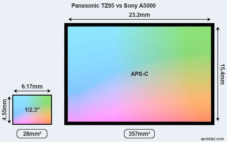 Panasonic TZ95 and Sony A5000 sensor measures