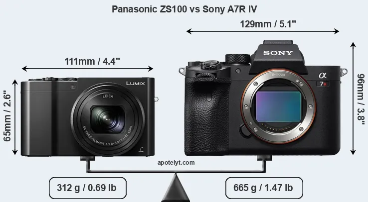 Size Panasonic ZS100 vs Sony A7R IV